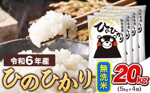 令和6年産  無洗米 ひのひかり 20kg 《7-14営業日以内に出荷予定(土日祝除く)》令和6年産 熊本県産 ふるさと納税 精米 ひの 米 こめ ふるさとのうぜい ヒノヒカリ コメ お米 おこめ 1553897 - 熊本県津奈木町