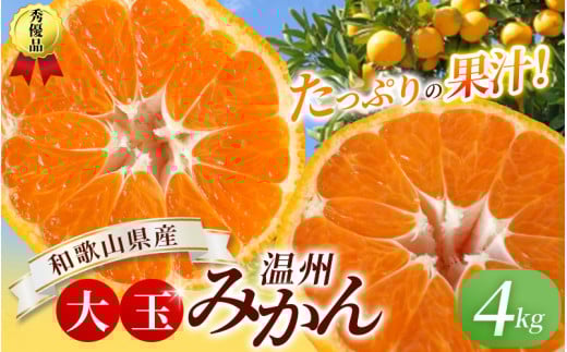 ボリューム満点！大玉  温州みかん 4kg  ※秀優混合【2L～3Lサイズ】【2025年12月から2026年２月下旬頃に順次発送】＜味好農園＞/ 温州 蜜柑 みかん 柑橘 果物 フルーツ ミカン 甘い 美味しい【agy018A】 1312983 - 和歌山県紀美野町