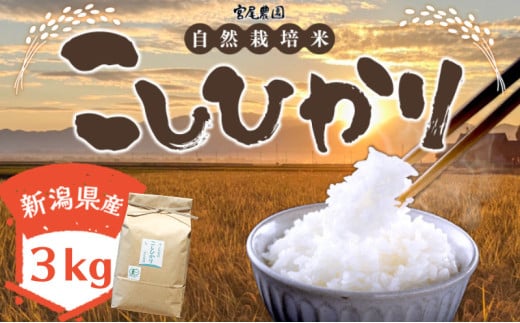 【令和6年産】宮尾農園 自然栽培米「コシヒカリ」3kg 米 令和6年 新米 お米 こめ おこめ コメ 精米 コシヒカリ こしひかり セット ご飯 ごはん 白米 新潟 有機栽培米 712353 - 新潟県新潟市