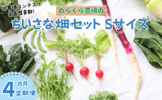 【先行受付・2025年発送】定期便　４カ月　信州北八ヶ岳からお届け～ちいさな畑セット～（Sサイズ　１～２人前）有機野菜〔NK-20-4〕 1839498 - 長野県佐久穂町