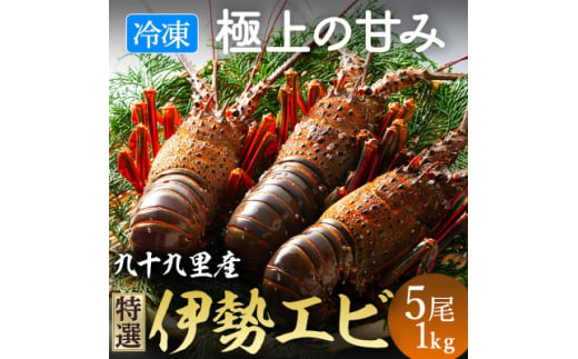 甘い!旨い!冷凍品とは思えない!活け〆リキッド冷凍伊勢海老(刺身用) 5尾で1kg【1578211】