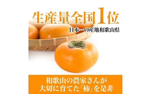 ＜令和7年度　先行受付＞柿カテゴリ上位獲得!　JA紀北かわかみのたねなし柿　7.5kg　L又は2L【1237822】 439763 - 和歌山県橋本市