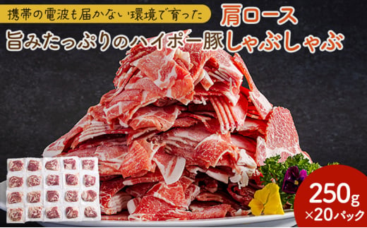 [№5681-0147]豚肉 肩ロース しゃぶしゃぶ 250g×20パック 小分けセット | 携帯の電波も届かない環境で育った旨みたっぷりのハイポー豚 豚 肉 お肉 ※配送不可:離島 1854683 - 山口県阿武町