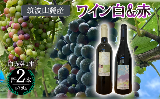 つくば市 筑波山麓産ワイン２本セット　ビーズニーズヴィンヤーズ／Bee's Knees Vineyards【 ワイン お酒 酒 果実酒 ブドウ 白ワイン 赤ワイン 日本ワイン 国産ワイン ワイン専用ブドウ品種  国産 つくば市産 茨城県産 飲み物 飲料 セット 人気 おすすめ 茨城県 つくば市 】 1856796 - 茨城県つくば市