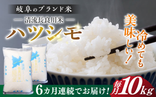 【6回定期便】【R7年産】岐阜 ハツシモ 10kg 名水 100選に選ばれた 長良川 中流の水で育った 「清流長良川米」 すし飯 冷めても美味しい 米 岐阜市 / 森ライス [ANCU009]