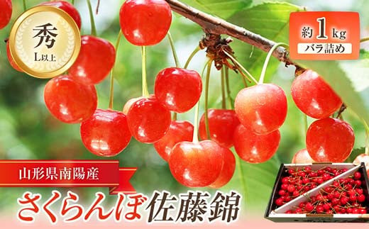 【令和7年産先行予約】 さくらんぼ ｢佐藤錦｣ 約1kg (秀 L以上) バラ詰め 《令和7年6月中旬～発送》 『田口農園』  サクランボ 果物 フルーツ 産地直送 生産農家直送 山形県 南陽市 [1129] 290280 - 山形県南陽市