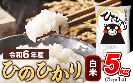 令和6年産 白米 ひのひかり 5kg [7-14日以内に出荷予定(土日祝除く)]熊本県産 ふるさと納税 精米 ひの 米 こめ ふるさとのうぜい ヒノヒカリ コメ お米 おこめ