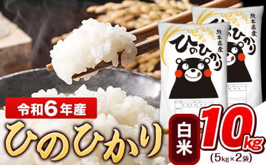 令和6年産 白米 ひのひかり 10kg《2月上旬-2月末頃出荷予定》令和6年産 高レビュー 熊本県産 ふるさと納税 無洗米 白米 精米 ひの 米 こめ ふるさとのうぜい ヒノヒカリ コメ お米 おこめ 1434596 - 熊本県玉東町