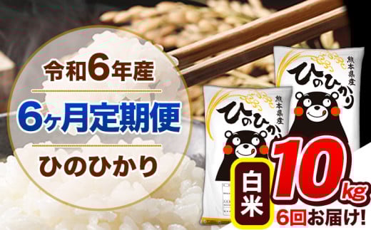 【6ヶ月定期便】令和6年産  定期便 ひのひかり 10kg 《申込み翌月から発送》令和6年産 熊本県産 ふるさと納税 白米 精米 ひの 米 こめ ふるさとのうぜい ヒノヒカリ コメ 熊本米 ひのもり 1408888 - 熊本県玉東町