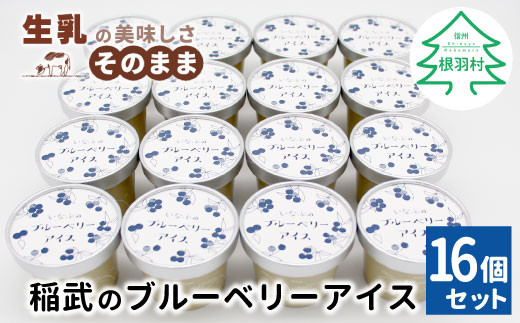 NEW★農薬・除草剤不使用！皮ごと使用！30品種をブレンドした ブルーベリー アイス(80ml)×16個入り 1477230 - 長野県根羽村