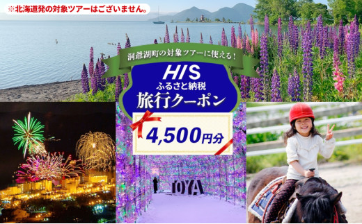 HISふるさと納税 クーポン(北海道 洞爺湖町)[4,500円分] 旅行 ツアー 宿泊 ホテル 観光 飛行機