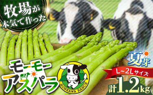【期間限定】モーモーアスパラ夏芽 L~2L 1.2kg（6月中旬より順次発送） 迷ったらこれ！ちょうどいい太さ2種セット  日田市 / 有限会社本川牧場 [ARAI035] 1838970 - 大分県日田市