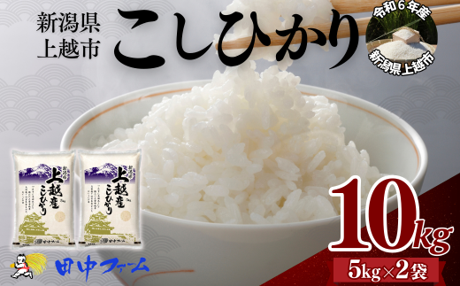 上越市産 新潟 コシヒカリ　5kg×2  上越市 精米 米 コメ こしひかり ブランド米 1837791 - 新潟県上越市