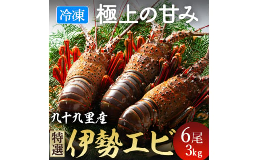 甘い!旨い!冷凍品とは思えない!活け〆リキッド冷凍伊勢海老(刺身用) 6尾で3kg【1578265】