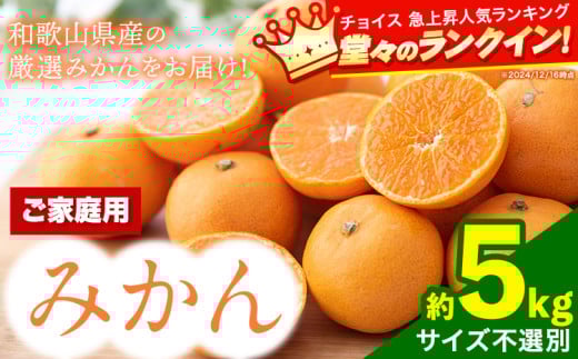 みかん[訳あり/ご家庭]先行予約 和歌山県産みかん 約5kg[サイズ混合] サンファーム[10月上旬-1月下旬頃出荷]和歌山県 紀の川市