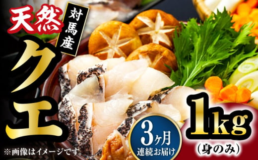 【全3回定期便】【 対馬産 】 天然 クエ 1kg（500g×2）（身のみ）《対馬市》【石川水産】 鍋 水炊き 鮮度抜群 海鮮 クエ 天然クエ [WAB024] 1839549 - 長崎県対馬市