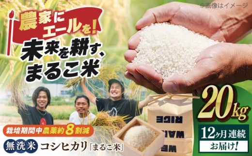 【全12回定期便】無洗米 コシヒカリ 滋賀県西浅井町産「まるこ米」20kg（5kg×4）　滋賀県長浜市/ONE SLASH 株式会社[AQCZ035]  米 お米 白米 無洗米 こしひかり 20kg 地域 応援 定期便 1837011 - 滋賀県長浜市 |