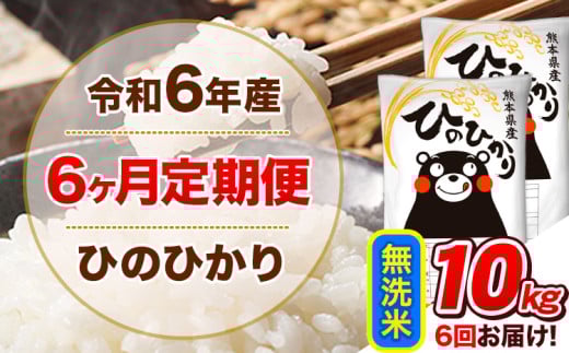 令和6年産 【6ヵ月定期便】 無洗米 ひのひかり 定期便 10kg 5kg×2袋《お申込み翌月から出荷開始》 熊本県産 精米 ひの 米 こめ ヒノヒカリ コメ お米 1582160 - 熊本県津奈木町