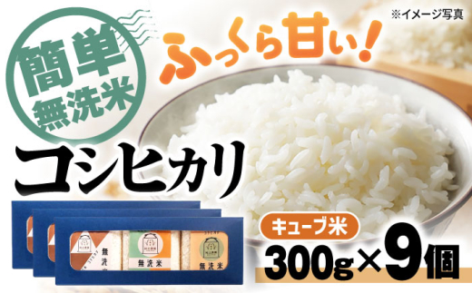 【スピード配送】 コシヒカリ 無洗米 キューブ 2合[300g×9個] 滋賀県長浜市/阿辻農園[AQAW010] コシヒカリ こしひかり 無洗米 真空パック 米 お米 小分け 魚のゆりかご水田 1837221 - 滋賀県長浜市