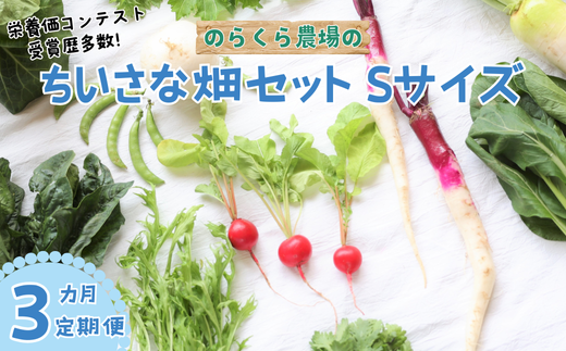 【先行受付・2025年発送】定期便　３カ月　信州北八ヶ岳からお届け～ちいさな畑セット～（Sサイズ　１～２人前）有機野菜〔NK-20-3〕 1839497 - 長野県佐久穂町