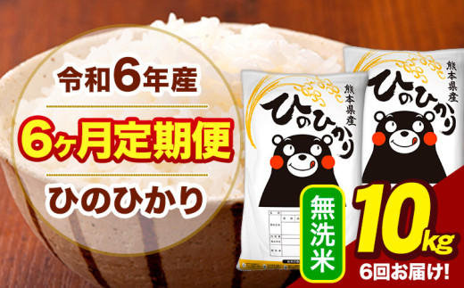 令和6年産 【6ヶ月定期便】 無洗米 米 ひのひかり 10kg《お申し込み月の翌月から出荷開始》熊本県 大津町 国産 熊本県産 無洗米 送料無料 ヒノヒカリ こめ お米 st-p 839132 - 熊本県大津町