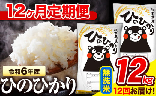 令和6年産 無洗米 【12ヶ月定期便】 ひのひかり 12kg《お申し込み月の翌月から出荷開始》 熊本県産 無洗米 精米 氷川町 ひの 送料無料 ヒノヒカリ コメ 便利 ブランド米 お米 おこめ 熊本