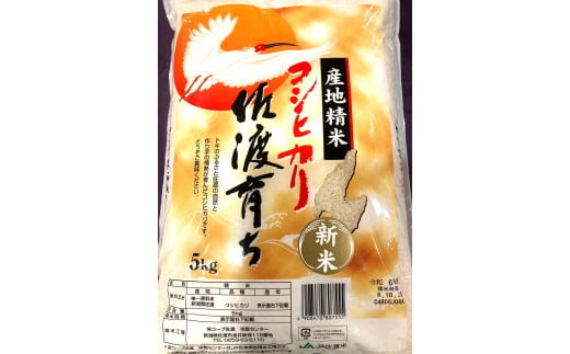 「令和6年産」コシヒカリ　佐渡育ち　5kg 1839258 - 新潟県佐渡市