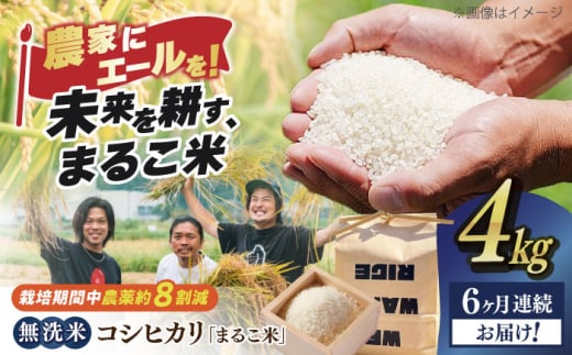 【全6回定期便】無洗米 コシヒカリ 滋賀県西浅井町産「まるこ米」4kg（2kg×2）　滋賀県長浜市/ONE SLASH 株式会社[AQCZ018]  米 お米 白米 無洗米 こしひかり 4kg 地域 応援 定期便 1836994 - 滋賀県長浜市