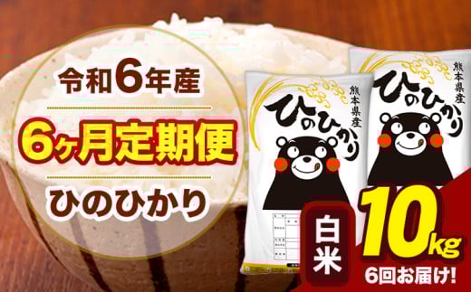 令和6年産 【6ヶ月定期便】 白米 米 ひのひかり 10kg《お申し込み月の翌月から出荷開始》熊本県 大津町 国産 熊本県産 白米 送料無料 ヒノヒカリ こめ お米 st-p 839131 - 熊本県大津町