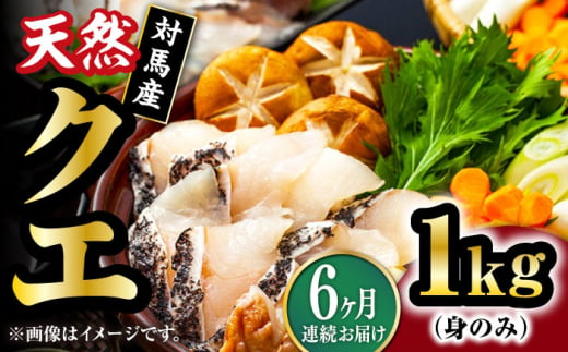 【全6回定期便】【 対馬産 】 天然 クエ 1kg（500g×2）（身のみ）《対馬市》【石川水産】 鍋 水炊き 鮮度抜群 海鮮 クエ 天然クエ [WAB025] 1839550 - 長崎県対馬市