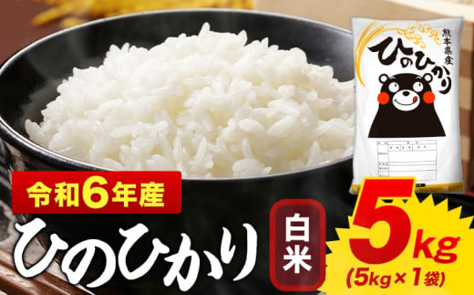 白米 ひのひかり 5kg 令和6年産 熊本県産 ふるさと納税 白米 精米 ひの 米 こめ ふるさとのうぜい ヒノヒカリ コメ お米 おこめ [2月上旬-2月末頃出荷予定)]