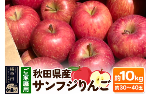 秋田県横手市のふるさと納税 【訳あり】秋田県産 ご家庭用 サンふじりんご 約10kg(30～40玉前後)【簡易梱包での発送】