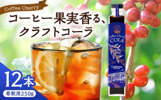 カフェテーロ葉山 コーヒーチェリーコーラ 250g×12本 /コーラ エナジードリンク 酸味 コーヒー 神奈川県 葉山町 クラフトコーラ 天然 ドリンク 炭酸[合同会社エンディレクト] [ASBM002]