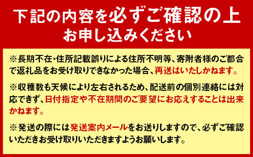 北海道下川町のふるさと納税 【先行予約】 令和7年産 ホワイトアスパラガス（2Lサイズ）2kg アスパラ 野菜 やさい ふるさと 納税 国産 北海道産 北海道 下川町 F4G-0004