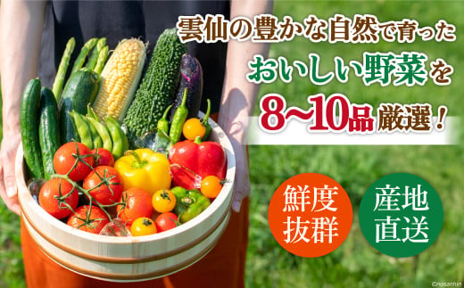 長崎県雲仙市のふるさと納税 雲仙のめぐみ 旬の野菜セット (S)【卵6個付き】 8～10品目セット [長崎県農産品流通 長崎県 雲仙市 item1572] 野菜 野菜セット フルーツ 果物 くだもの 卵 たまご