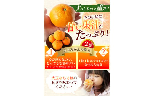 和歌山県紀美野町のふるさと納税 ボリューム満点！大玉  温州みかん 4kg  秀優品【2L～3Lサイズ】【2024年12月から2025年２月下旬頃に順次発送】＜味好農園＞/ 温州 蜜柑 みかん 柑橘 果物 フルーツ ミカン 甘い 美味しい【agy018B】