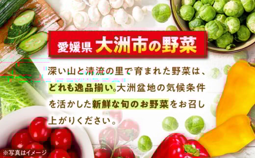 野菜定期便（野菜・果物・お米・卵）【シェフの目線】