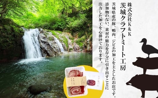 茨城県高萩市のふるさと納税 常陸の国 天然ジビエ イノシシ バラ肉スライス　200g×2