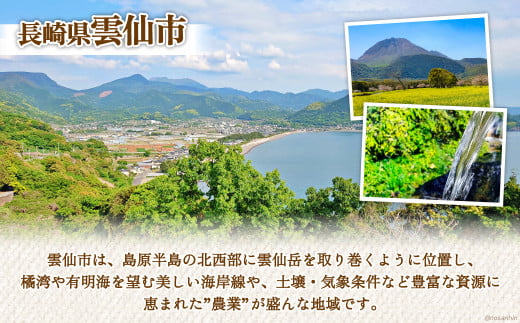 長崎県雲仙市のふるさと納税 雲仙のめぐみ 旬の野菜セット (S)【卵6個付き】 8～10品目セット [長崎県農産品流通 長崎県 雲仙市 item1572] 野菜 野菜セット フルーツ 果物 くだもの 卵 たまご