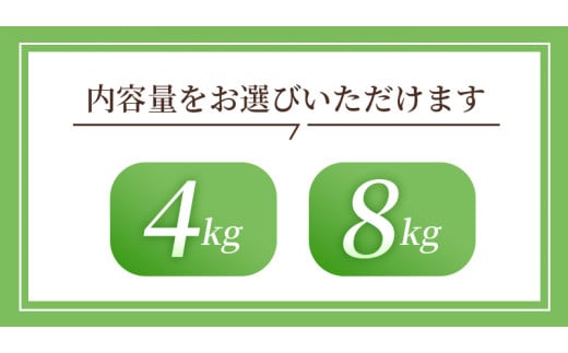 和歌山県紀美野町のふるさと納税 ボリューム満点！大玉  温州みかん 4kg  秀優品【2L～3Lサイズ】【2024年12月から2025年２月下旬頃に順次発送】＜味好農園＞/ 温州 蜜柑 みかん 柑橘 果物 フルーツ ミカン 甘い 美味しい【agy018B】