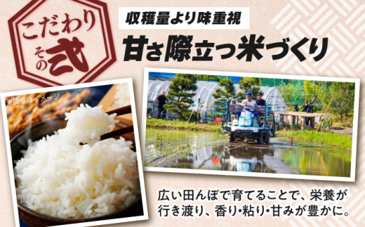 【全12回定期便】無洗米 コシヒカリ 滋賀県西浅井町産「まるこ米」20kg（5kg×4）　滋賀県長浜市/ONE SLASH 株式会社[AQCZ035]  米 お米 白米 無洗米 こしひかり 20kg 地域 応援 定期便 1837011 - 滋賀県長浜市 |