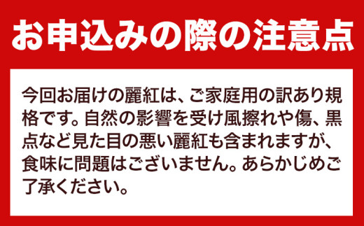 和歌山県日高川町のふるさと納税 麗紅 訳あり 麗紅 5kg れいこう みかん サイズ不選別 どの坂果樹園《2025年1月末-2月末頃出荷予定》和歌山県 日高川町 みかん 柑橘 フルーツ 果物 ミカン 柑橘 産地直送 送料無料