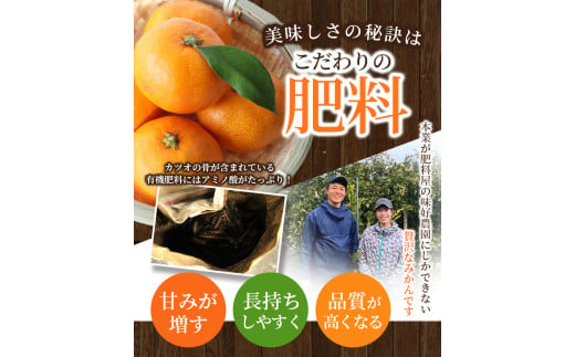 和歌山県紀美野町のふるさと納税 ボリューム満点！大玉  温州みかん 4kg  秀優品【2L～3Lサイズ】【2024年12月から2025年２月下旬頃に順次発送】＜味好農園＞/ 温州 蜜柑 みかん 柑橘 果物 フルーツ ミカン 甘い 美味しい【agy018B】