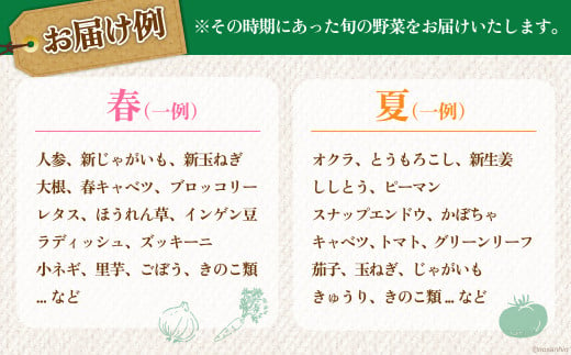 長崎県雲仙市のふるさと納税 雲仙のめぐみ 旬の野菜セット (S)【卵6個付き】 8～10品目セット [長崎県農産品流通 長崎県 雲仙市 item1572] 野菜 野菜セット フルーツ 果物 くだもの 卵 たまご