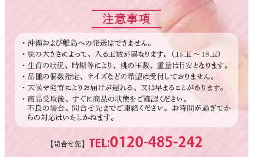 福島県国見町のふるさと納税 透過式光センサー川中島白桃 特秀3kg相当 9玉～11玉＜ ふくしま未来農業協同組合 ＞ | ふくしま 桃 福島 もも 国見 モモ ※2025年8月中旬頃に順次発送予定 ※沖縄・離島への配送不可