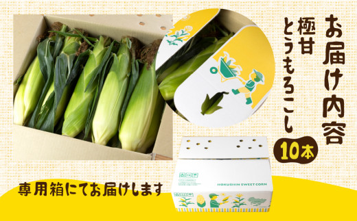鮮度保持袋に入れてお届けします。