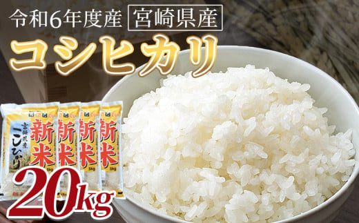 ＜令和6年度産　宮崎県産コシヒカリ　20kg＞翌月末までに順次出荷【 国産 米 お米 最速便 白米 精米 こしひかり ごはん ご飯 白飯 食品 】 1729516 - 宮崎県国富町