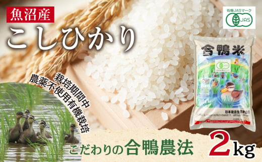 魚沼産 コシヒカリ 2kg あいがも農法 有機栽培米 精米 米 お米 ご飯 白米 合鴨 ごんべい こしひかり 特A 人気 安全 お取り寄せ 送料無料 新潟県 十日町市 1882642 - 新潟県十日町市