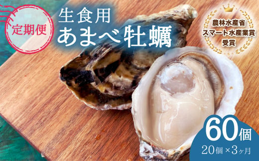 【あまべ牡蠣 20個 ３ヶ月連続定期便】あまべ牡蠣 20個 3ヶ月定期便 60個 牡蠣 シングルシード 生食用 殻付き かき カキ オイスター 生ガキ 生牡蠣 生がき 生かき ギフト 貝 旨味  1905078 - 徳島県海陽町