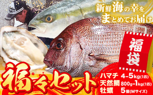 鮮魚 海産物 詰め合わせ 福々セット 魚 セット ハマチ (4～5kg 1匹) 鯛 天然 (800g～1kg 1匹) 牡蠣 (5個 Mサイズ) 勇和水産《12月末-2月上旬頃出荷》岡山県 笠岡市 送料無料 さかな 刺身 煮つけ タイ はまち お取り寄せグルメ